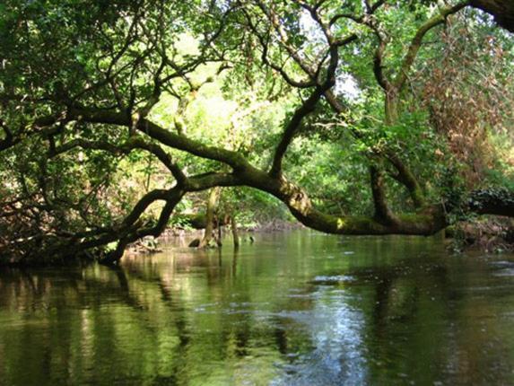 Entre Mer Et Pins Saint-Julien-en-Born Zewnętrze zdjęcie